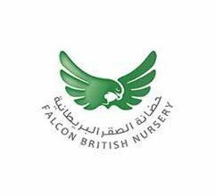 Falcon British Nursery